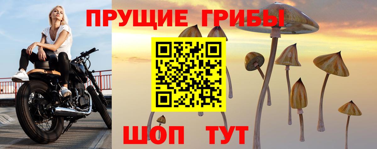 Галлюциногенные грибы MAGIC MUSHROOMS  Вход с VPN  Жуковский 